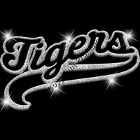 GLT78   SILVER GLITTER Thumbnail