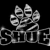 GLT32 SILVER GLITTER Thumbnail