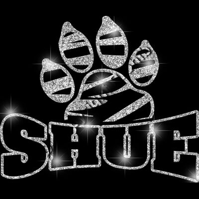 GLT32 SILVER GLITTER Thumbnail